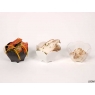Mini verrine forme aux choix par 25