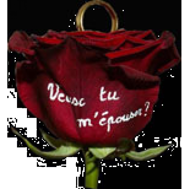 Rose imprim�e avec support bague