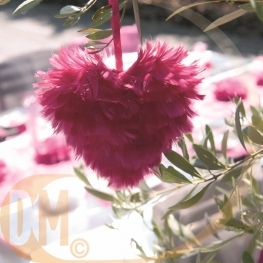 Coeur en plumes