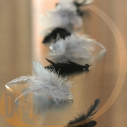 Guirlande plume