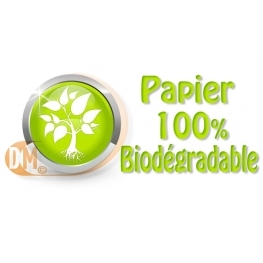 Lanterne volante, Sky lanterne de couleur 