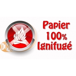 Lanterne volante, Sky lanterne de couleur 