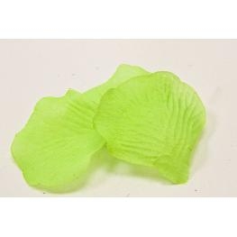 p�tale tissu ( x 100 )