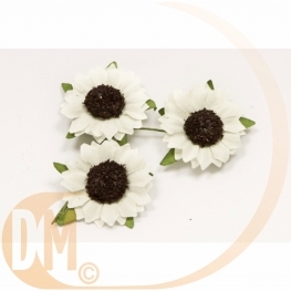 Fleurs de champs (x12)