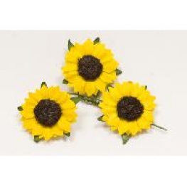 Fleurs de champs (x12)