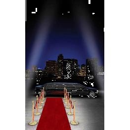 Tapis pour la mairie ou Eglise