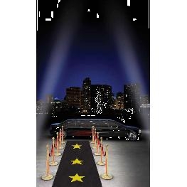 Tapis pour la mairie ou Eglise