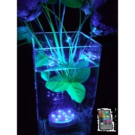 Base Lumineuse submersible � leds