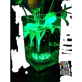 Base Lumineuse submersible � leds