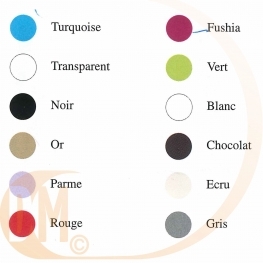 Cuill�re en plastique eco de couleur par 50