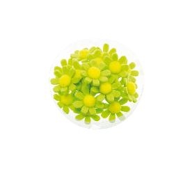 Boite 18 Fleurs Adh�sives