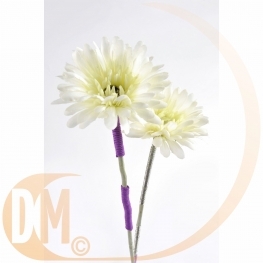 Raphia papier cordon laitonn�