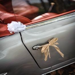 Kit d�co voiture