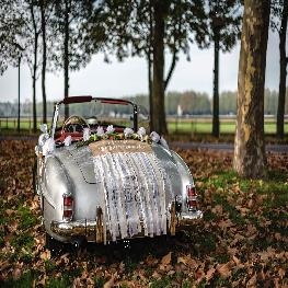 Kit d�co voiture