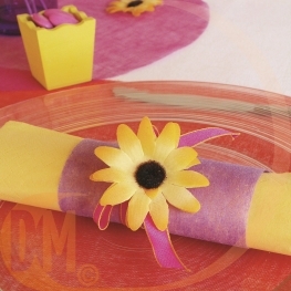 Ruban de tissus non tiss�e 10cm