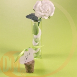 Eprouvette verre 5,10 et 15 cm