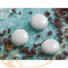 Petits galets nacr�s  