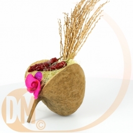 Support alliances noix de coco