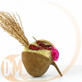 Support alliances noix de coco